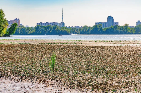 Buildings Obolon District Dnieper River Kiev Ukraine Seen Muromets Park — Stock Photo, Image