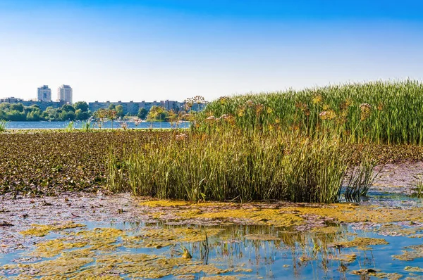 Byggnaderna Obolon Distriktet Över Floden Dnepr Kiev Ukraina Sett Utifrån — Stockfoto