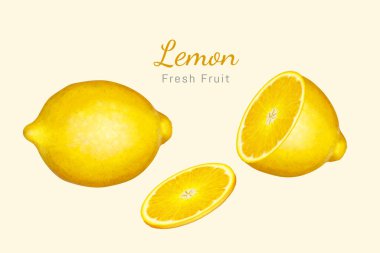 Fildişi arka planda izole edilmiş meyve, yarım dilim ve ince dilimli 3 boyutlu gerçekçi sarı limon.