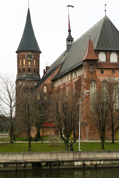 Kathedrale in Kaliningrad, Russland — Stockfoto