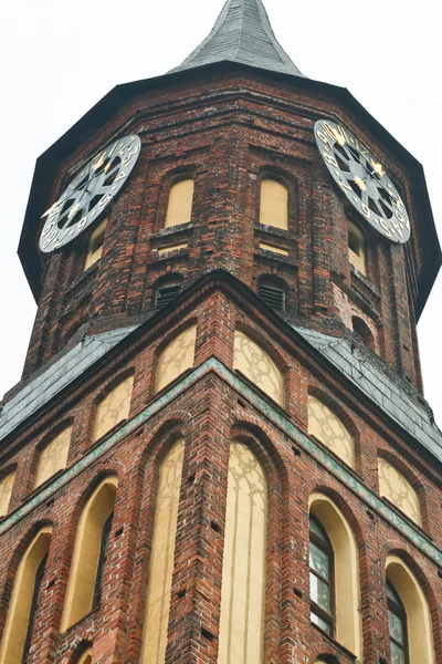 Cattedrale di Kaliningrad, Russia — Foto Stock
