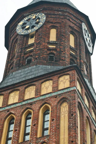 Kathedrale in Kaliningrad, Russland — Stockfoto