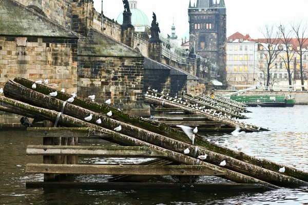 PRAAG — Stockfoto