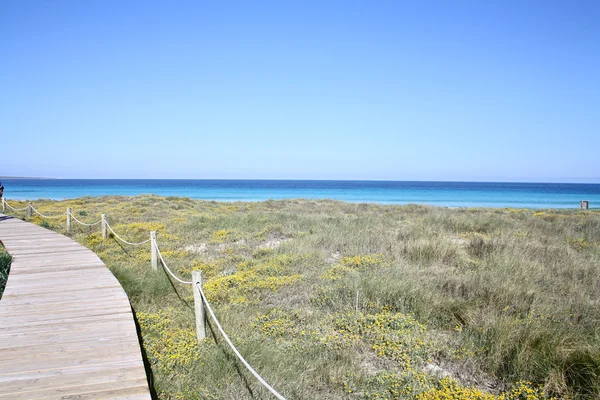 Ibiza campagna — Foto Stock