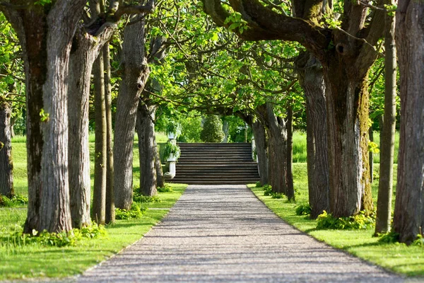 Camino del parque — Foto de Stock