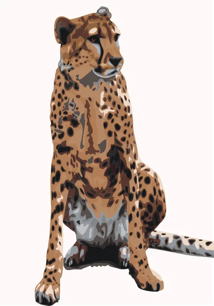 Gepard - Stock-foto