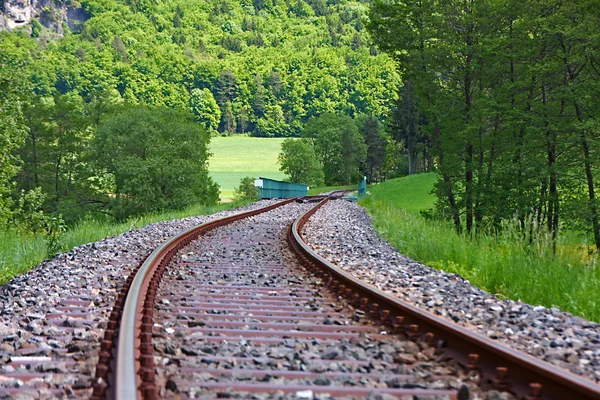 Train tracks — Stock Photo, Image