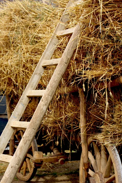 Agricultural wagon with stacked straw — Stock Photo, Image