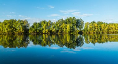 Ormandaki gölün üzerindeki su yüzeyi son derece pürüzsüz. Yaz manzarası. Camsı göl.