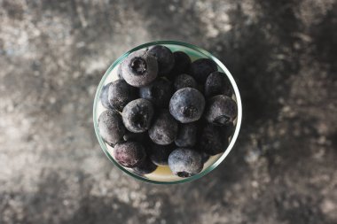 Yoğurtlu tatlı ve koyu kırsal arka planda yaban mersini. Seçici odaklanma. Sığ alan derinliği.