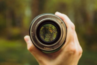 Ormanın ortasındaki göle objektiften bakıyorum. Bakış açısı. Seçici odak.