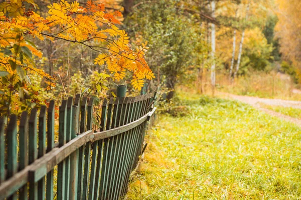 Old Wooden Fence Colorful Autumn Forest Selective Focus Shallow Depth Stock Picture
