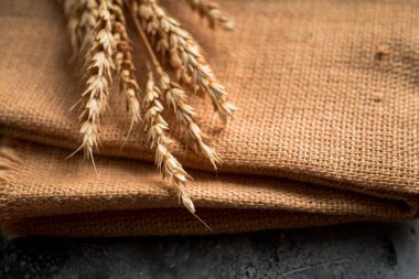 Çuval bezi arka planında buğday dikenleri. Seçici odak.