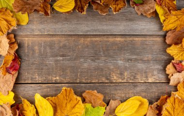 Köy arka planında kuru yapraklar olan bir çerçeve. Yukarıdan vurulmuş. Seçici odak.