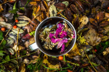 Kırsal arka planda bitki çayı olan turistik bir kupa. Seçici odak.