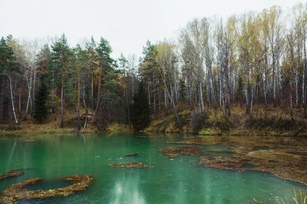Herbstsee Mitten Wald Rustikale Herbstlandschaft — Stockfoto