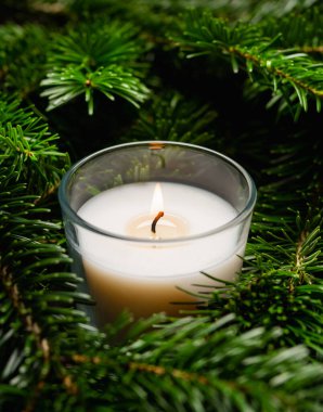 Yeşil çam dallarında yanan mum. Noel arkaplanı. Seçici odak.