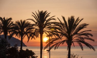 güzel günbatımı okyanus