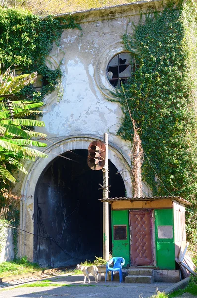 Entrance to the old railway tunnel — Stock Photo, Image