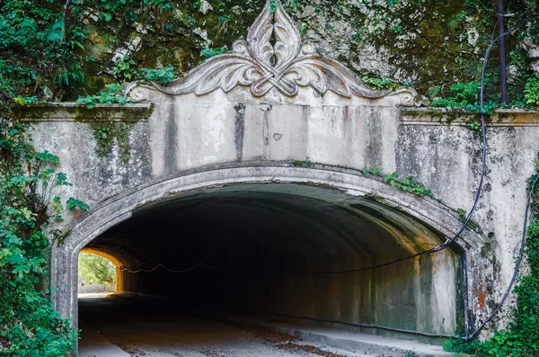 Entrance to the tunnel — Stock Photo, Image