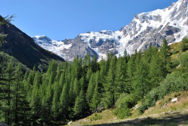 Monte Rosa