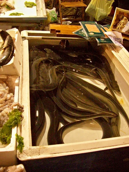 Rybí trh v Neapoli — Stock fotografie