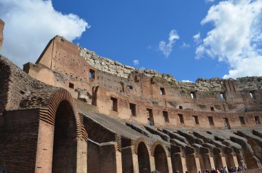 Roma colosseum