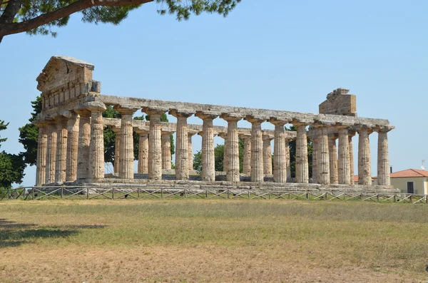 Paestum - 1 из 20 — стоковое фото