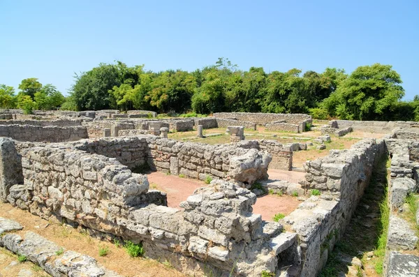 Paestum - 1 20 — Stock fotografie