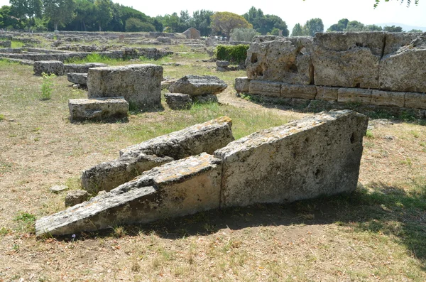 Paestum - 1 20 — Stock fotografie