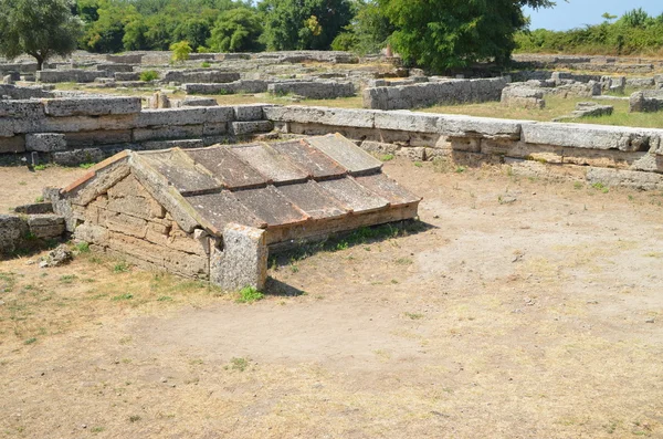 Paestum - 1 из 20 — стоковое фото