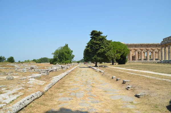 Griechische Tempel aus Paestum — Stockfoto