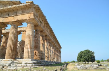 Paestum Yunan tapınakları