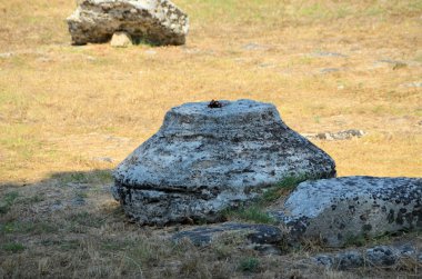 Paestum Yunan tapınakları