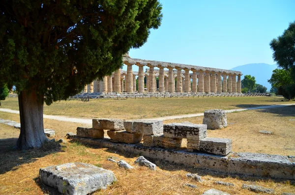 Griekse tempels van paestum — Stockfoto