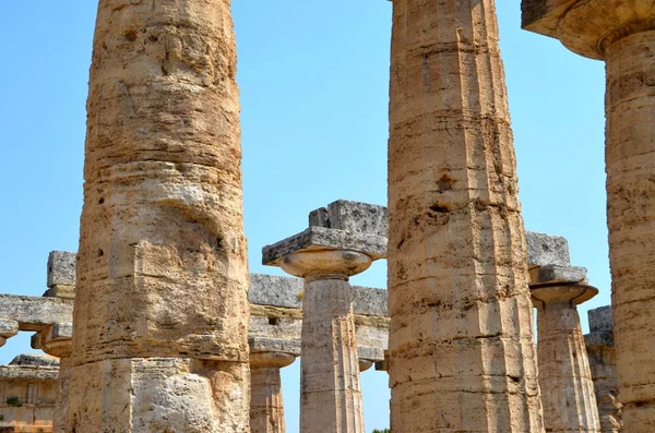 Греческие храмы Пестума — стоковое фото