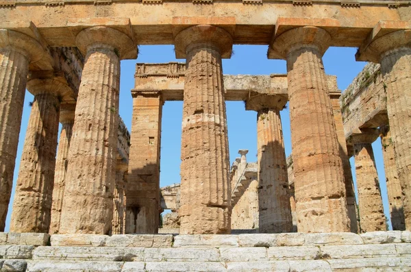 Řeckých chrámů paestum — Stock fotografie