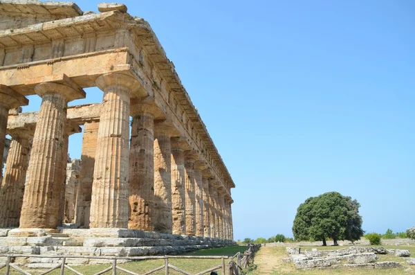 Paestum Yunan tapınakları — Stok fotoğraf