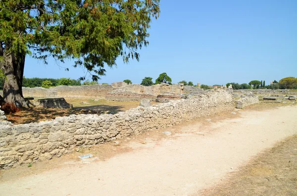 Templos griegos de Paestum — Foto de Stock