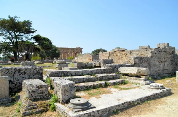 Griekse tempels van paestum — Stockfoto