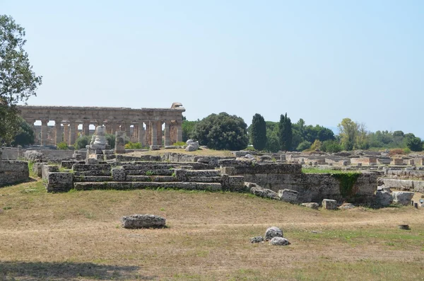 Griekse tempels van paestum — Stockfoto