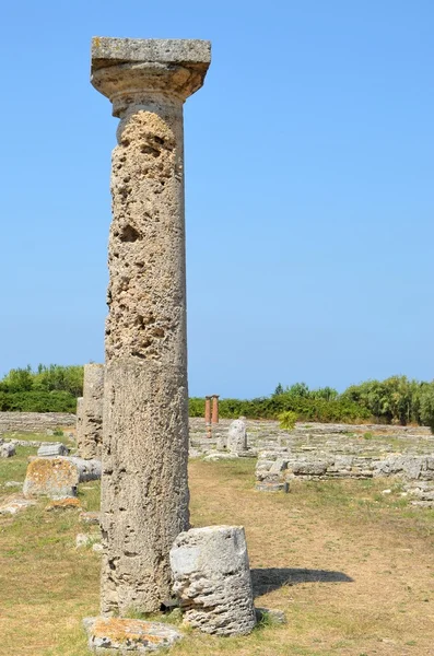 Paestum Yunan tapınakları — Stok fotoğraf