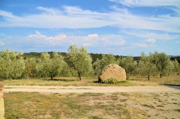 De Toscaanse landschap met heuvels van olijfbomen en wijngaarden — Stockfoto