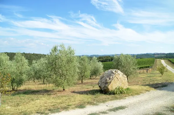 De Toscaanse landschap met heuvels van olijfbomen en wijngaarden — Stockfoto