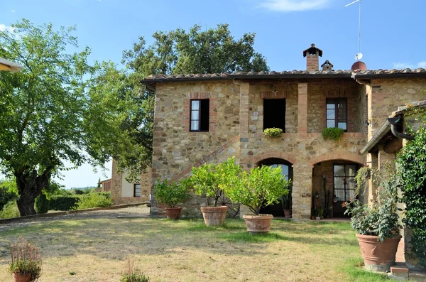 La campiña toscana con colinas de olivos y vides —  Fotos de Stock