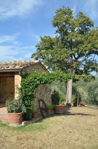 Paisaje Toscana con olivos —  Fotos de Stock