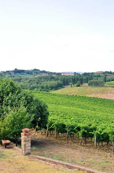 Chianti szőlőültetvény táj Toszkánában, Olaszország — Stock Fotó