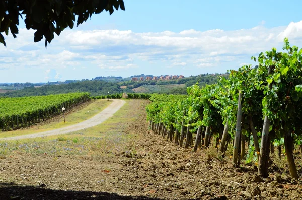 Paisagem vinícola de Chianti na Toscana, Italia — Fotografia de Stock