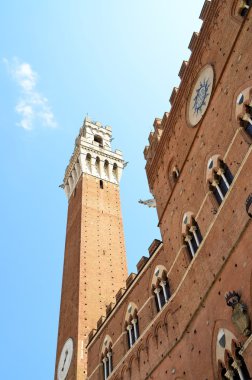 Piazza del campo ayrıntıları, siena, İtalya .