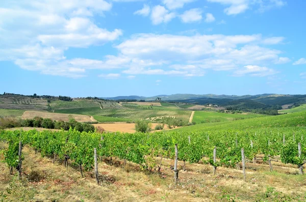 Chianti wijngaard landschap in Toscane, Italië — Stockfoto